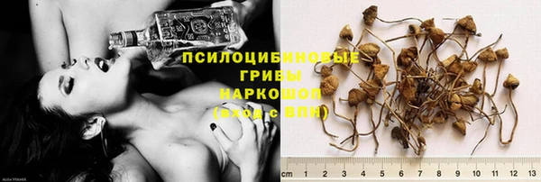 ALPHA PVP Баксан