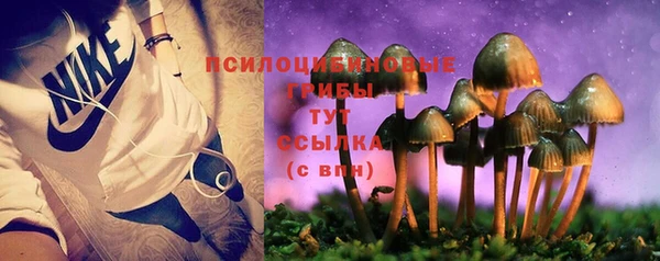 ALPHA PVP Баксан