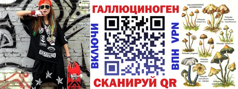 Купить закладки  Гурьевск  Псилоцибиновые грибы MAGIC MUSHROOMS 