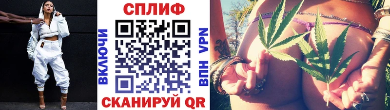 Бошки Шишки семена Гурьевск